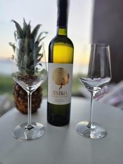 Vila Vanda - Rtina - 7