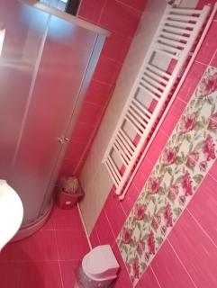 Cabana Diana Dealul Frumos - Hănăşeşti - 8