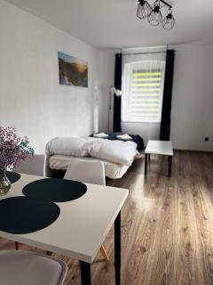 Apartament u Gąbki - Duszniki Zdrój - 1