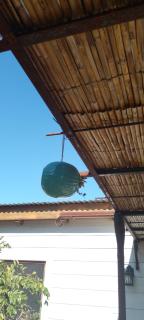 Rinconcito Punta Gorda Uruguay - Carmelo - Nueva Palmira - 3