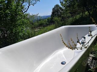 Hilltop Train Carriage with a View - Machynlleth - 5