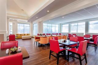 Hilton Garden Inn Tampa Northwest/Oldsmar - Oldsmar - 1