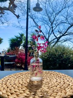 Trevignano Casa fronte lago - 4