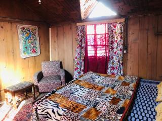 Budshah Palace Houseboat - Srinagar - 9
