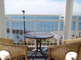 2 Bed in Ventnor 75730 - 0