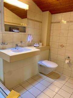 Hotel zum Roten Löwen - Hildisrieden - 3