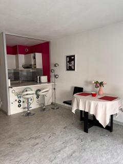 Beautiful studio in Juan Les Pins - Antibes - 8