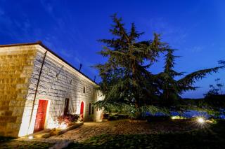 Chateau Du Comte - - 8