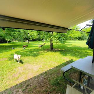 Cozy Camper Rental-Fully Equipped - Americus - 4