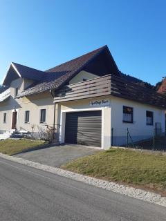 Apartmaji Biseri - Kranjska Gora - 9
