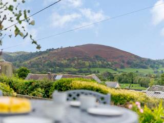 3 Bed in Llanrhaeadr Ym Mochnant 85799 - 9