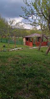 La tataie Nucșoara - Nucşoara - 8