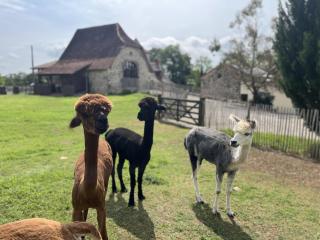 Gîte La Borie - Fons - 0