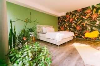 Paradiesvogel - Zentral gelegenes Apartment in Paderborn Zentrum - Paderborn - 0