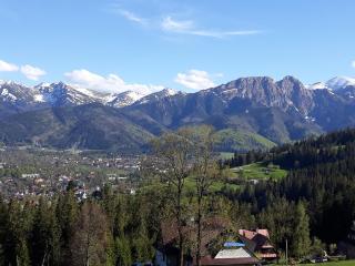 Apartamenty widokowe KowalSki- Wooden view apartmants - Zakopane - 0