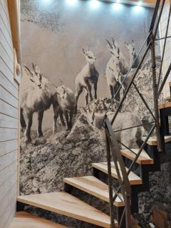 Apartamenty widokowe KowalSki- Wooden apartmants with view - 3