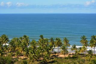 Villa Butterfly - Marau - 6