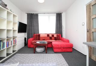 Apartmán Rokytnička - Rokytnice v Orlických Horách - 9