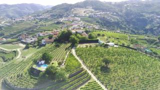 Quinta da Cumieira - Cumieira - 1