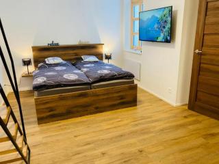 Apartmán ROK - Rokytnice nad Jizerou - 2