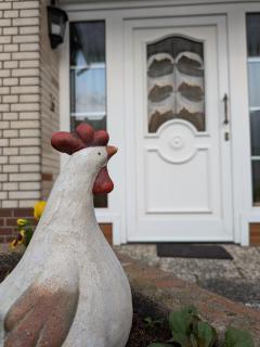 Queen of Safran Ferienhaus - - 3