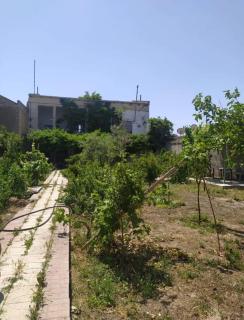 dacha - Baku - 4