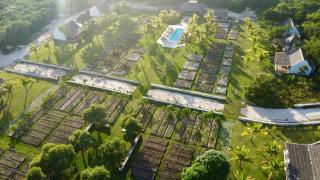 The Farm - North Eleuthera - 0