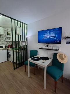 Studio Green Rabbit - Torrevieja - 6