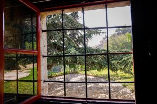 Chateau Du Comte - 1