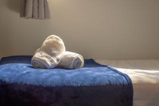 Cozy Garden Studio in St Albans - Saint Albans - 6
