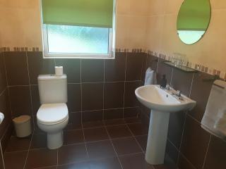 Aira Lodge - Galway - 5