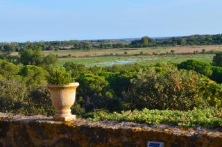 Maison de vacances climatisée, Domaine de Roque-haute piscine et jardin privatifs, vue mer - Portiragnes - 4