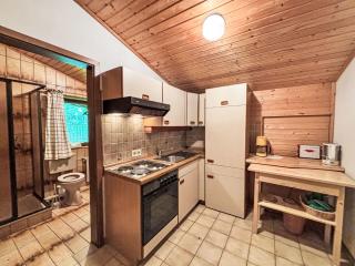 Studio Studio 3 by Interhome - Schladming - 6
