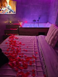 Ecrin des Alpes, Jacuzzi, Netflix, Ambiance chalet - Saint-Étienne - 9