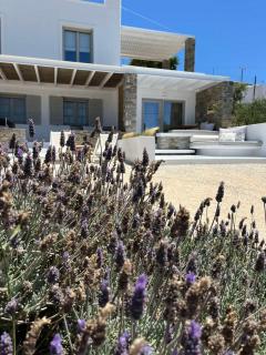 Neso seafront studio Paros - Parasporos - 0