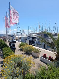 Half day trip from Zadar to island Ugljan - Zadar - 4