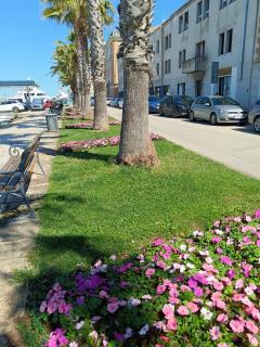 Half day trip from Zadar to island Ugljan - Zadar - 1