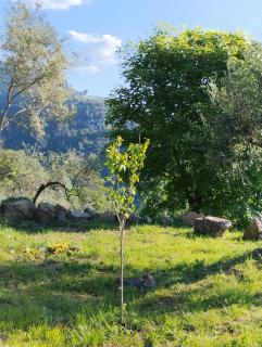 Briciole di Pietra B&B - Dolceacqua - 5