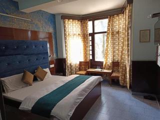 Hoyel Ashiana Regency - Dalhousie - 8