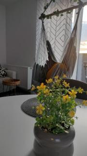 studio27 - Braşov - 6