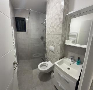 Ilidža VIP apartment - Sarajevo - 7