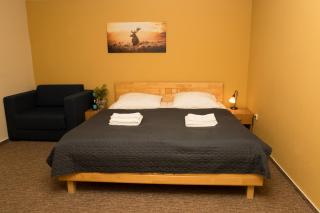 Valnovka Wellness Hotel - Kamenice - 8
