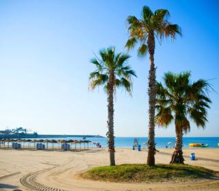 Piso Red Harmony - Torrevieja - 5