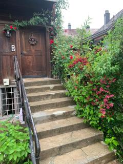 Historic Swiss Chalet Room in Farmhouse Rosalie - Brunnadern - 4