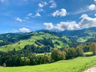 Historic Swiss Chalet Room in Farmhouse Rosalie - Brunnadern - 7
