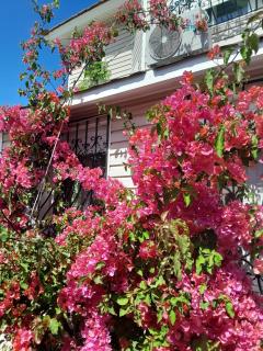 Villa İnci - Cesme - 1