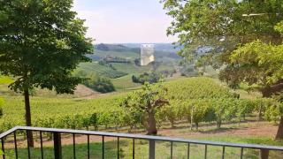 Cà Trifolera Barbaresco - Romantico Cascinale con antica cantina nel cuore delle Langhe - DEGUSTAZIONE VINI NELLA NOSTRA CANTINA - Barbaresco - 5