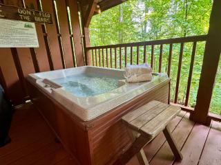 Bear View - Townsend - 1