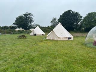 Cozy Dog Friendly Hot Tent With Log Burner - Llanfairpwllgwyngyll - 5