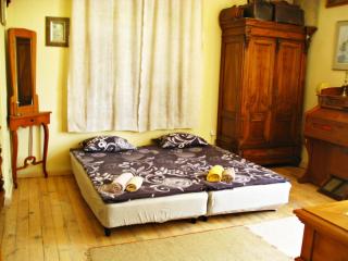 Maritsa River Apartment - Plovdiv - 1